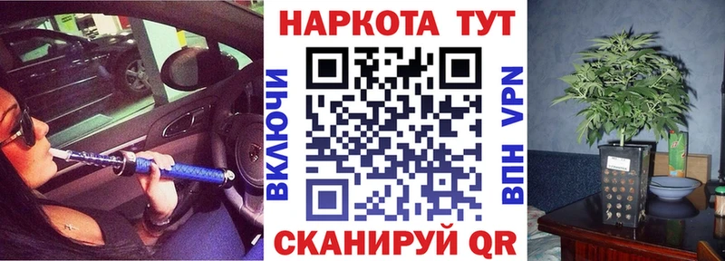 APVP Майкоп