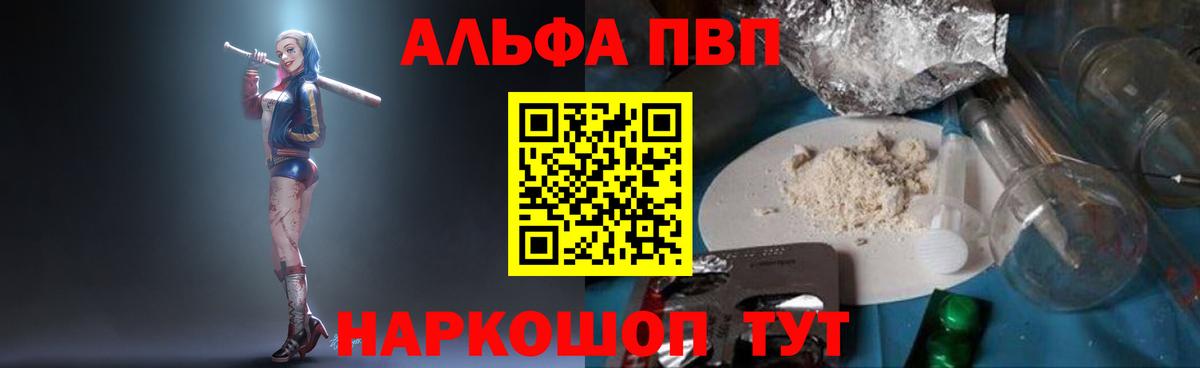 Альфа ПВП СК КРИС Майкоп