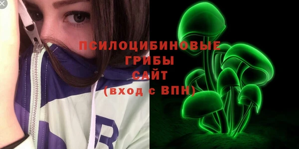 мет Арсеньев