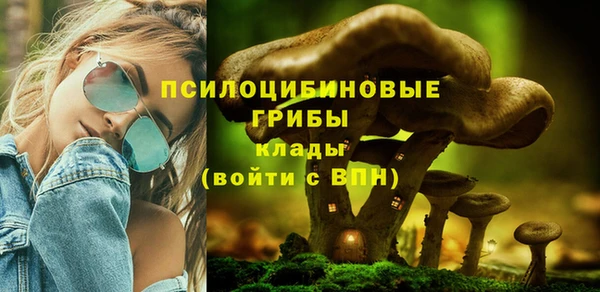винт Армянск