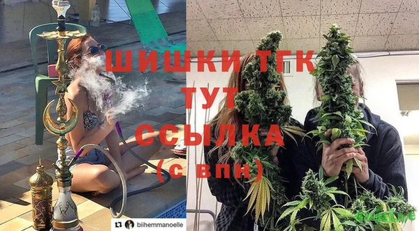 винт Армянск
