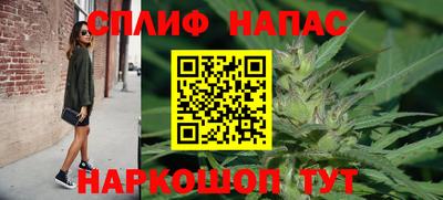 молекула духа Заволжье