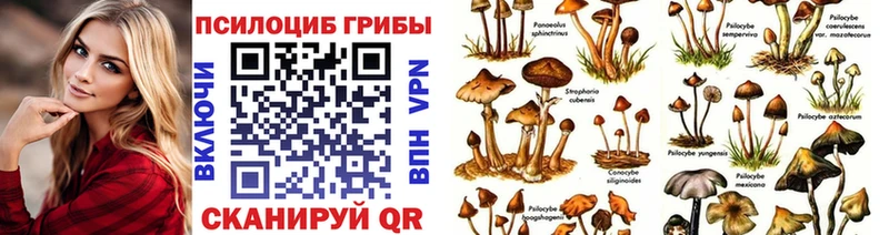 Галлюциногенные грибы Psilocybine cubensis  Майкоп 