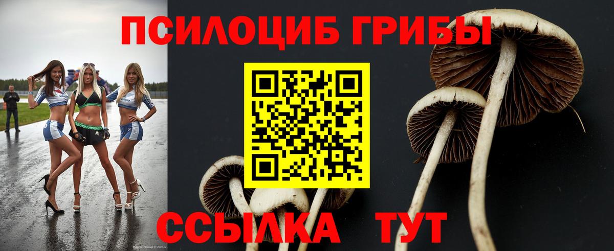 Галлюциногенные грибы мицелий  Вход с VPN  Майкоп 