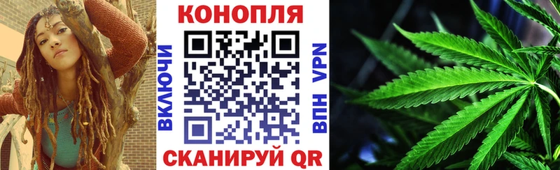 Бошки марихуана Bruce Banner  блэк спрут маркетплейс  Майкоп 
